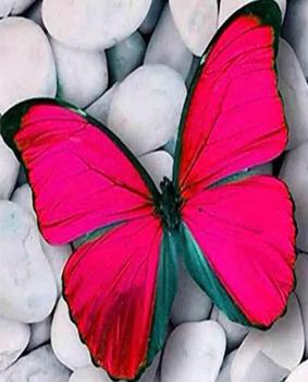 Diamond Painting pink Schmetterling auf Steinen 20x25cm