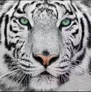 Diamond Painting Tiger weiss eckig 30x30cm