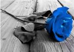Diamond Painting Rose auf Tisch blau eckig 20x30cm